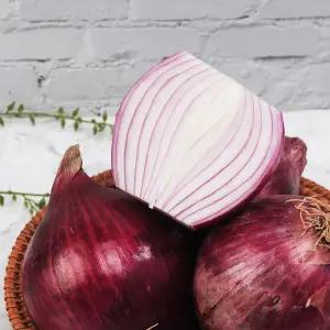 자연을 품은 전남 무안 자색양파 5kg(특대과)