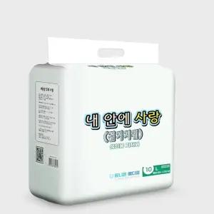 성인용 겉기저귀 특대형 (L) 노인 요양원 10개(1팩)용 뽀송뽀송한 어르신용 요실금팬티 가성비 저기 실버용