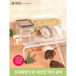 미니 메추리 키우기 사육장 급수대 모이통 병아리 계란 조류 만들기 달걀 집 세트 닭 부화