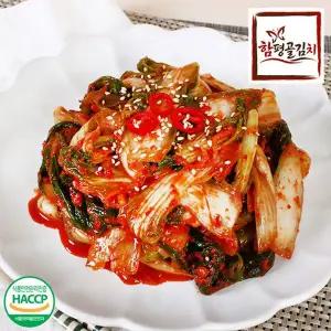 [NS홈쇼핑]전라도전통함평김치 얼갈이김치8kg 국내산재료 당일제조[35769805]
