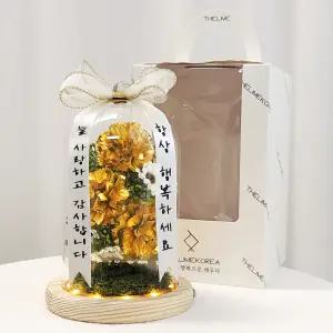 골드 금 카네이션 대형 유리돔 어버이날 부모님 선물