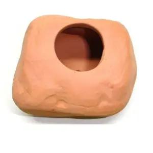 [셀러에이드]1구형 산란상 작은어류