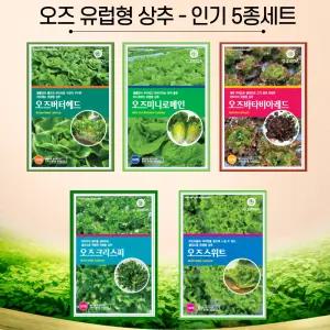 유럽상추 씨앗 인기 5종 세트 각 100립 버터헤드 로메인 멀티리피 바타비아