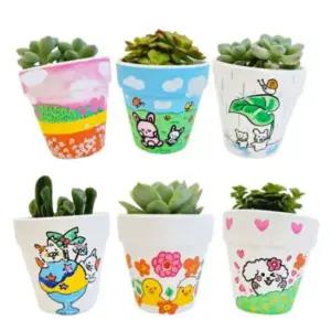 아트박스 에듀팜몰 꿈꾸는 다육이 컬러링 화분 키우기 DIY 키트