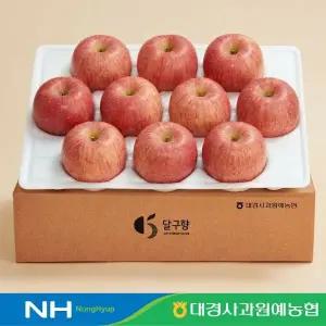 [대경사과원예농협][당도선별] 경북 못난이사과 3kg 12과내