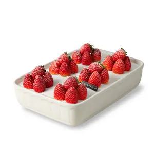 투썸플레이스 파티팩 화이트 스초생