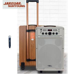 RPS-1200 240W 앰프 캐리어  이동식앰프  학교  회의 강의 교육 수업  건설현장 체조  블루투스 행사용 USB