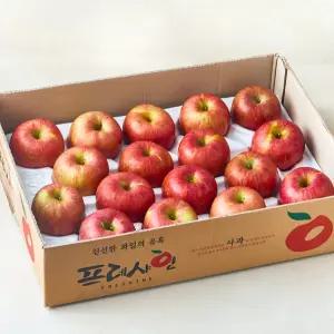 프레샤인 충주 당도선별 사과 중대과 5kg(17~19수), 2박스