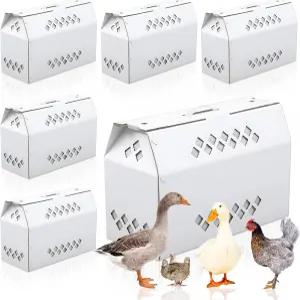 유노트 6팩 싱글 라이브 치킨 배송 상자 17.7인치 x 7.8인치 11.8인치 통풍구 손잡이가 있는 골판지 버드