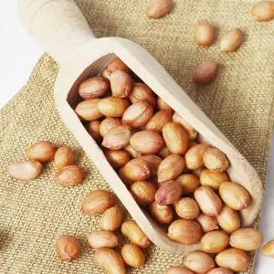 [NS홈쇼핑]서래푸드 미국산 생땅콩 1kg[35771249]