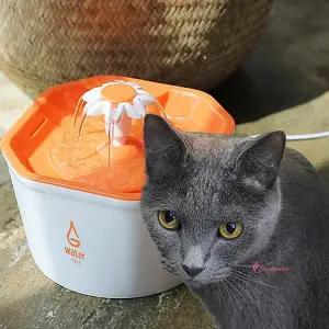 고양이자동급수기 늘리기 음수량 펫정수기 음수대 필터 분수대 음수기 고양이물jkl870