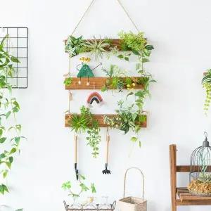 라탄 화분 바구니 행잉플랜트 빈티지 화분걸이