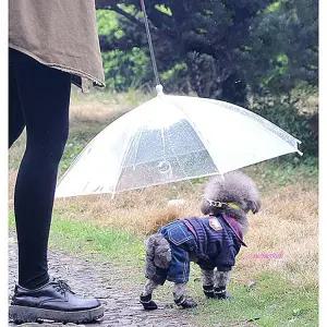 강아지우비 산책용품 개우산 비옷 비오는날 애견우산 반려견 갓샵vbc005