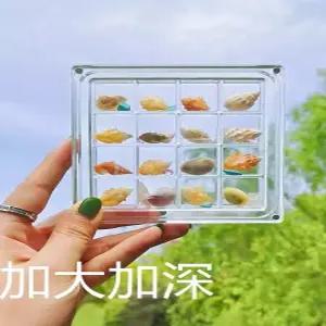 투명 조개 수납함 해변 돌 소품 자석 진열함