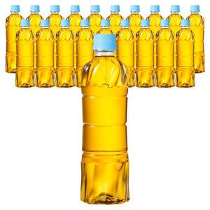 하늘보리 에코 무라벨 500ml, 20개