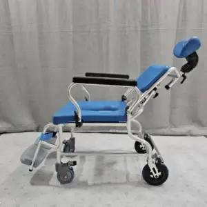 [일반구매] 국산 와상환자 바퀴달린 목욕카 PT-300 장애인 샤워용 샤워 휠체어 환자용 목욕의자 본