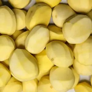 구쁜참 공주 깐밤 500g 대 특대 사이즈 약품처리 제로 100% 맛밤 프리미엄 밤 냉장보관