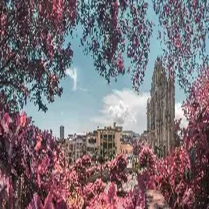 [마카오INOUT] 마카오/홍콩 4일#노쇼핑#스마트초이스#핵심일정#밤출발