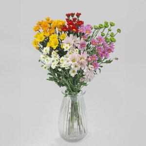 생화 소국 어레인지먼트 사계절 제철꽃 화병 꽃배달 정기구독