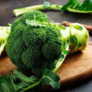 햇 수확 신선한 제철 제주 브로콜리 1kg
