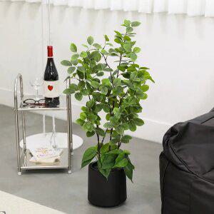 인테리어 인조 식물 장식 조화나무 화분 브레이니아(모형돌2개포함)