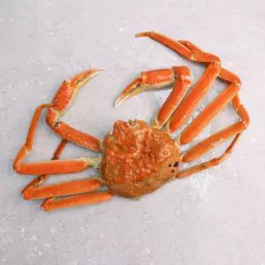 러시아 박달대게 선어 A급 수율좋은 자숙대게 2kg