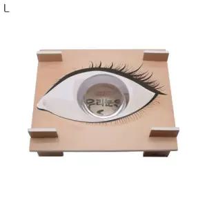 우리눈의구조 만들기 5인세트/초등/과학/키트/실험/세트/교구/사이언스/오토마타/코딩/유치원/고무/동력기