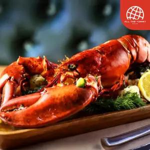 [올더야미] 자숙 점보 랍스터 왕왕특대(4XL) 1마리