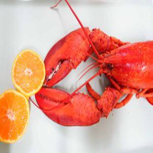 캐나다 자숙 냉동 랍스터 450g-500g 1마리/ 랍스터 테일