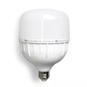 건식 LED 전구 30W E26 고와트 원통 T램프 보안등, 주광색, 1개