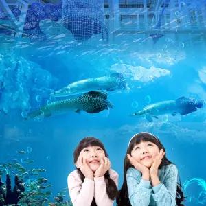 [서울] 가산 아쿠아밸리 이용권/가볼만한곳/키즈카페/아쿠아리움/동물원/아이랑/가볼만한곳/수족관/벨리