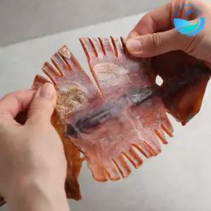 국내건조 마른오징어 20마리 800g