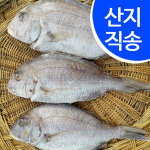 [임피수산]국내산 반건조 도미 1.5kg 3마리(30cm/마리)