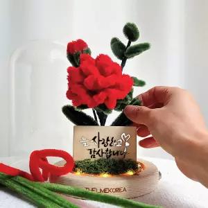 DIY 모루 카네이션 유리돔 만들기 키트 학교 수업 재료