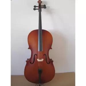 입문용첼로 입문용 컬러 전자첼로 전자 연습용 악기