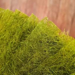 생감태 햇 감태김 주먹밥 김밥 재료