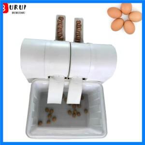 전문가용 220V 계란 세척기 식품 가공기 닭알