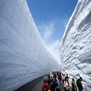 [스마트초이스] 나고야/알펜루트 4일 #알프스의청량함 #가미코치국립공원 #일본북알프스 #시라카와고 #나고야성 #온천호텔1박