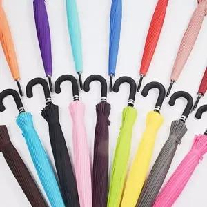 장우산 벚꽃 봄철 꽃 장발산