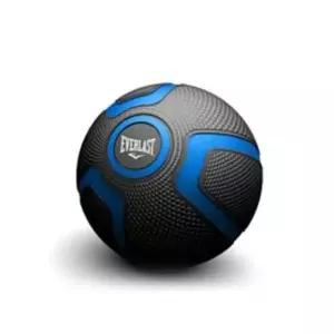 메디신볼5kg 에버라스트 메디신볼 블루블랙 5kg