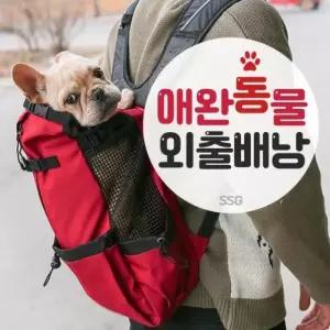 강아지 애완동물 2IN1 애완 외출배낭댕댕 외출배낭