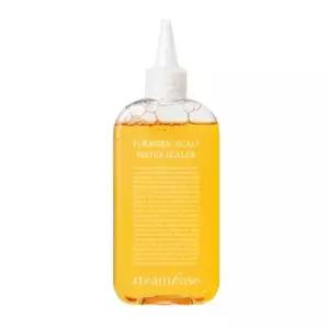 스팀베이스 터메릭 스칼프 워터 스케일러, 250ml, 2개