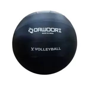 [골드스마일]다우리 발리볼 배구공 학교 체육 경량공 빅발리공 95g 피구