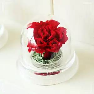 카네이션 아크릴돔 레드 TW325612