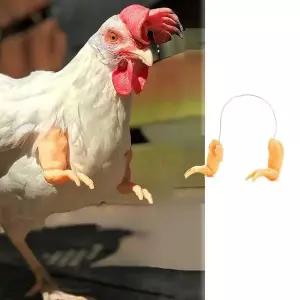 [에이치플러스몰]키우기 의팔 철사 애완닭 스킨색 장식품 한쌍 사육 관상닭
