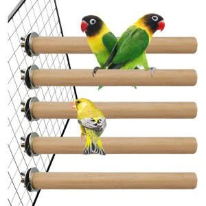 새장 앵무새를 위한 하밀레이 용품 장난감 앵무새용 아크릴 핀치스회색 여행 러브버드 포도