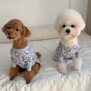 반려동물 겨울 파란 도트 토끼 니트 티셔츠 강아지 옷 [포미런]