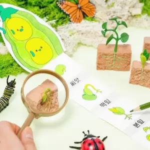 식물 한살이 성장 북아트 피규어 포함생물키트 학습지 피어 탐구어