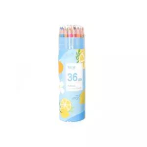 지워지는 채점 36색 연필 세트연필 신학기 연필케이스 연필그림 수채연필 지워지는연필