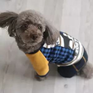체크베스트올인원개옷 강아지패션용품 반려견 개외출복 동물 산책 견산 예쁜 반려 견복